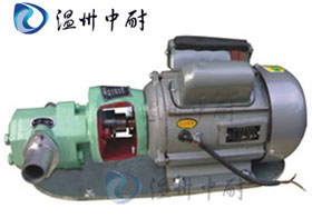 WCB型微型�X�油泵